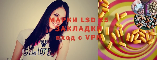хмурый Аркадак