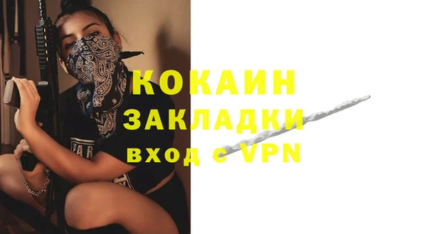 МДПВ Нея