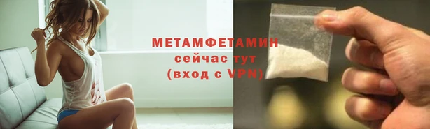 сатива Нефтекумск