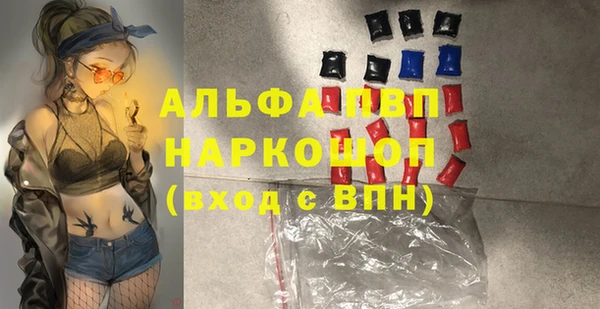 хмурый Аркадак