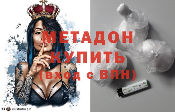 хмурый Аркадак