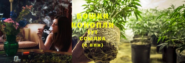 МДПВ Нея
