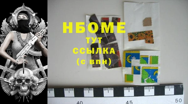 хмурый Аркадак